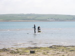 JT00927 Brad and Marijn stand up paddling (sup) on River Taw estuary.jpg